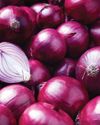 Centre directs NCCF and NAFED to procure 5 lakh tonnes of onion