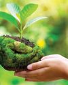 Is Organic the Answer to India's Agri Sustainability?