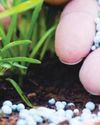 Argus launches first low and zero-carbon nitrogen fertiliser assessments