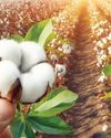 Sustainable Cotton Farming Tech in India