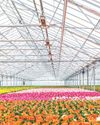 The blooming Floriculture business