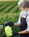 Russian scientists develop citrusbased alternative to agricultural pesticides