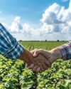 Groundwork BioAg & ADAMA partner to offer Rootella Inoculants in China