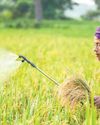 BASF to launch a novel rice insecticide Prexio Active for APAC markets