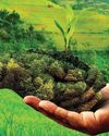 UP to invest Rs 2,500 Cr in natural farming