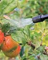 Dhanuka Agritech introduces comprehensive crop protection portfolio for Indian apple growers