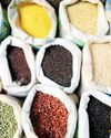 USDA predicts 7% dip in global grain trade in 2024-25
