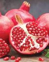 APEDA facilitates first sea shipment of pomegranates from Maharashtra to USA