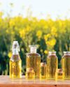 India's Self-Reliance Bid in OILSEED