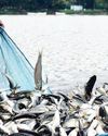 Centre unveils Rs 255 Cr Fisheries Projects at Coastal States Meet 2025