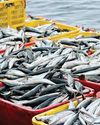 PM Modi trains focus on Fish-Tech for Fisheries