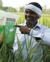 Rallis India posts Rs 2663 Cr revenue for FY25