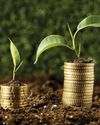 Arya.ag reports Rs 32 Cr PAT in FY25 marking 70% increase from the previous fiscal