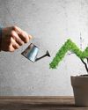 DFPCL's FY25 PAT leaps by 102%; Q4 PAT Jumps by 21%9