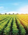 Centre includes key plantation crops under weather-based insurance scheme5