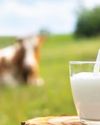 Amul launches 'fresh milk' in Spain, aims to expand across Europe30