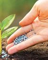 Govt broadens fertiliser regulations to cover new biostimulants and microbial products2