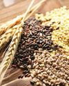 India ups 2024-25 foodgrain output forecast to 353.95 MT4