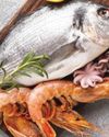 FB Agro set to acquire Cargill India's shrimp and fish feed business29