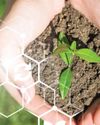 AgroSpectrum