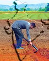 AgroSpectrum