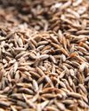 AgroSpectrum