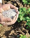 AgroSpectrum