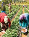 AgroSpectrum