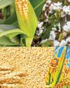 AgroSpectrum