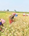 AgroSpectrum