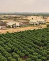 AgroSpectrum