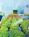 AgroSpectrum