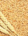 AgroSpectrum