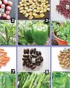 AgroSpectrum