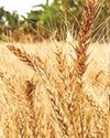 AgroSpectrum