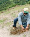 RESTORING CARIBBEAN WATERSHEDS