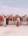 THE Beauty Queens OF AL DHAFRA