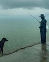 Of Strays and Solace