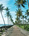 CALICUT CHRONICLES11