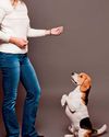 6 Ways to Make Your Dog Smarter Reader's Digest India
