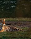 QUEEN of the Lakes Reader's Digest India