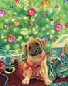 Our Best Worst Christmas Idea Ever... Our Best Worst Christmas Idea Ever...9