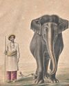 Reader's Digest India