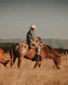 THE BEST OF THE WEST THE BEST OF THE WEST