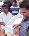 വാൽപ്പാറയിൽ പുലി പിടിച്ച ബാലികയുടെ മൃതദേഹം കണ്ടെത്തി0