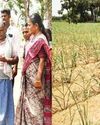 புதுக்கோட்டை மாவட்டம் நீடித்த நிலையான கரும்பு சாகுபடி பணியினை செய்தியாளர்கள் பயணத்தின்போது, மாவட்ட ஆட்சித்தலைவர்அருணா, நேரில் பார்வையிட்டார் புதுக்கோட்டை மாவட்டம் நீடித்த நிலையான கரும்பு சாகுபடி பணியினை செய்தியாளர்கள் பயணத்தின்போது, மாவட்ட ஆட்சித்தலைவர்அருணா, நேரில் பார்வையிட்டார்