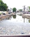 மதுரையில் மழைநீர் கால்வாய்கள் யாருக்கு சொந்தம்?15