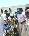 ரோட்டரி கிளப் ஆப் காஞ்சிபுரம், பசுமை இந்தியா தன்னார்வல இணைந்து 200 மரக்கன்றுகளை நட்டனர்20