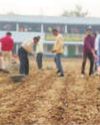 Hooghly school goes for organic farming for mid-day meal vegetables