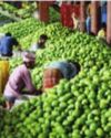 India Strengthens Leadership in Agricultural Exports: Govt